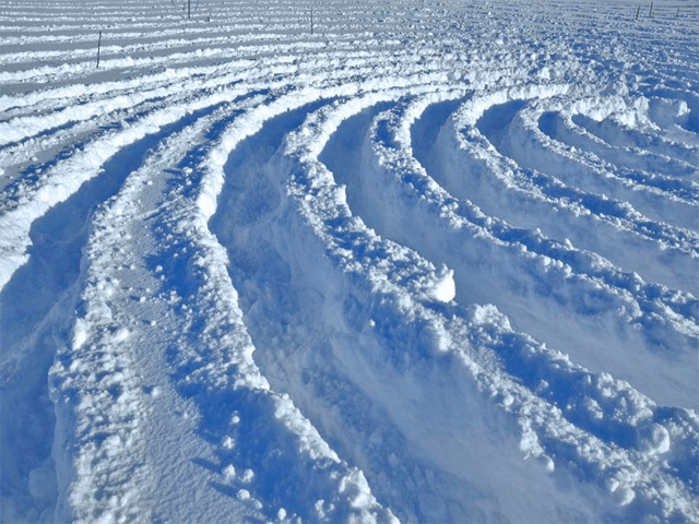 Snow artist