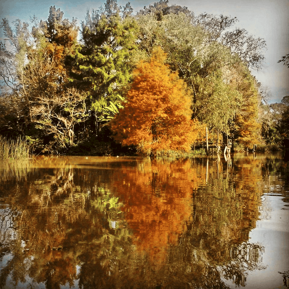 Delta en otoño