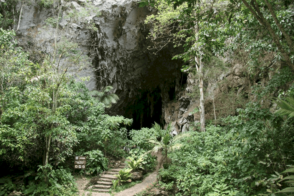 Cueva de Guácharo